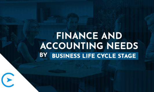 Finance and Accounting Journey for High-Growth Businesses